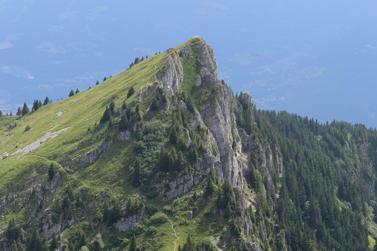 Alpiner Bergkamm mit Nadelbäumen an der Waldgrenze