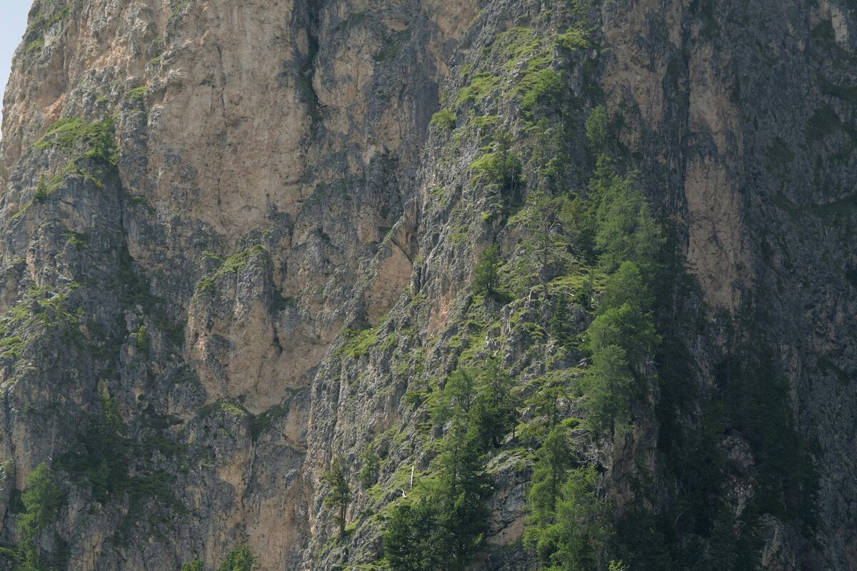 Steile Felswand mit eingestreuten Nadelbäumen