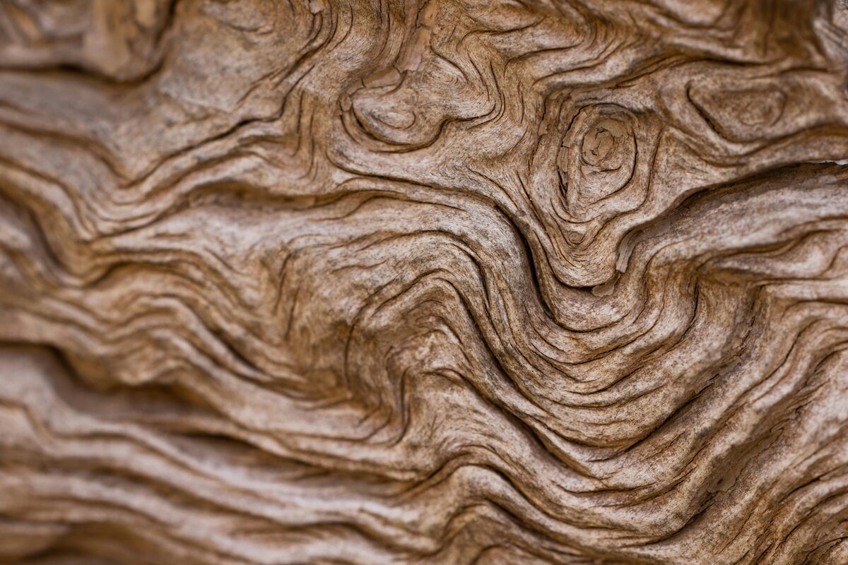 Holzmaserung